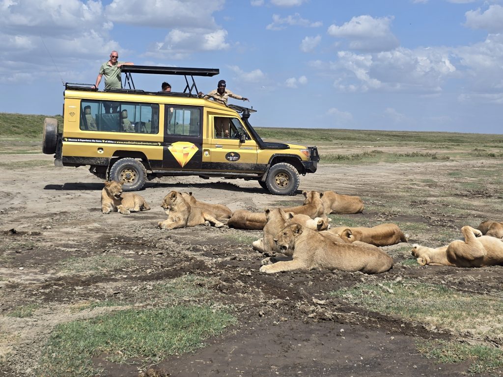 5 Days Tanzania Safari from Arusha | Serengeti & Ngorongoro